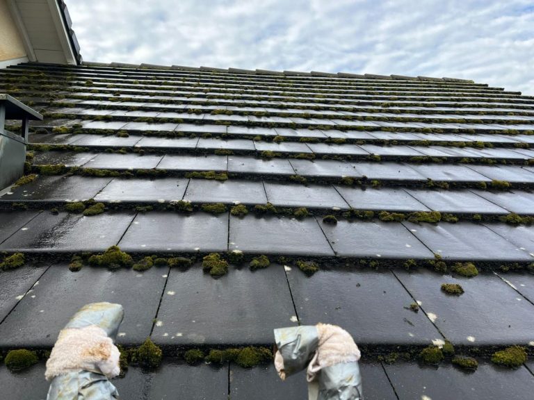 démoussage de toiture